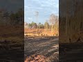 I know where every turkey in Alabama is. #outdoors #hunting #turkey
