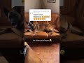 himra#rap#funny#video#225#cotedivoire#shorts#viral#himra#youtubeshorts#videoviral