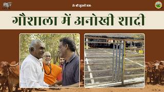 गौमाता के बिच अनोखी शादी  — सनातन परंपरा का अद्भुत रिवाज | Gir Gau Jatan | Rameshbhai Rupareliya