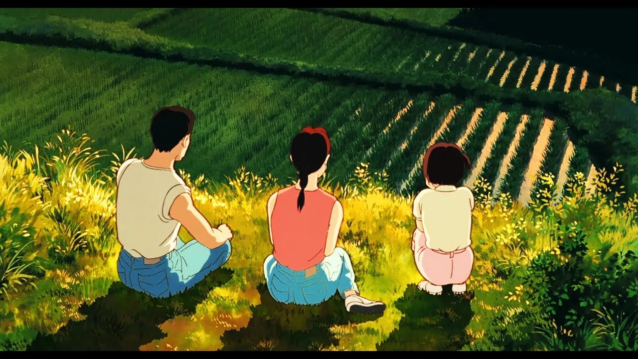 Warm summer afternoons lofi beats