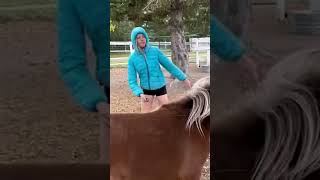 This Pony Didn't Trust Anyone Until She Met This Teenager | The Dodo