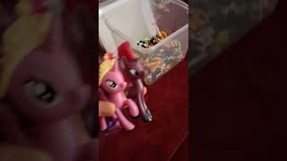 My little pony your number one besties forever 