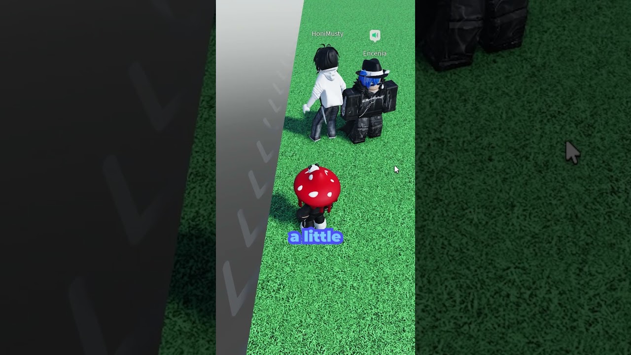 Introducing my imaginary wife on Roblox