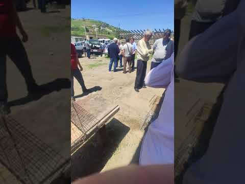 голубиный рынок Дербент