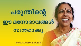 The Eagle Mentality | 5 Powerful Life Lessons From the Eagle |Malayalam Motivation| Dr. Mary Matilda