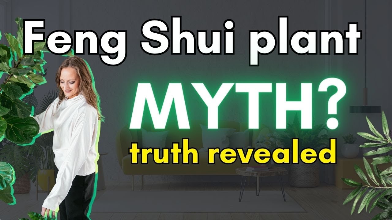Are Fake Plants Bad Feng Shui? - YouTube