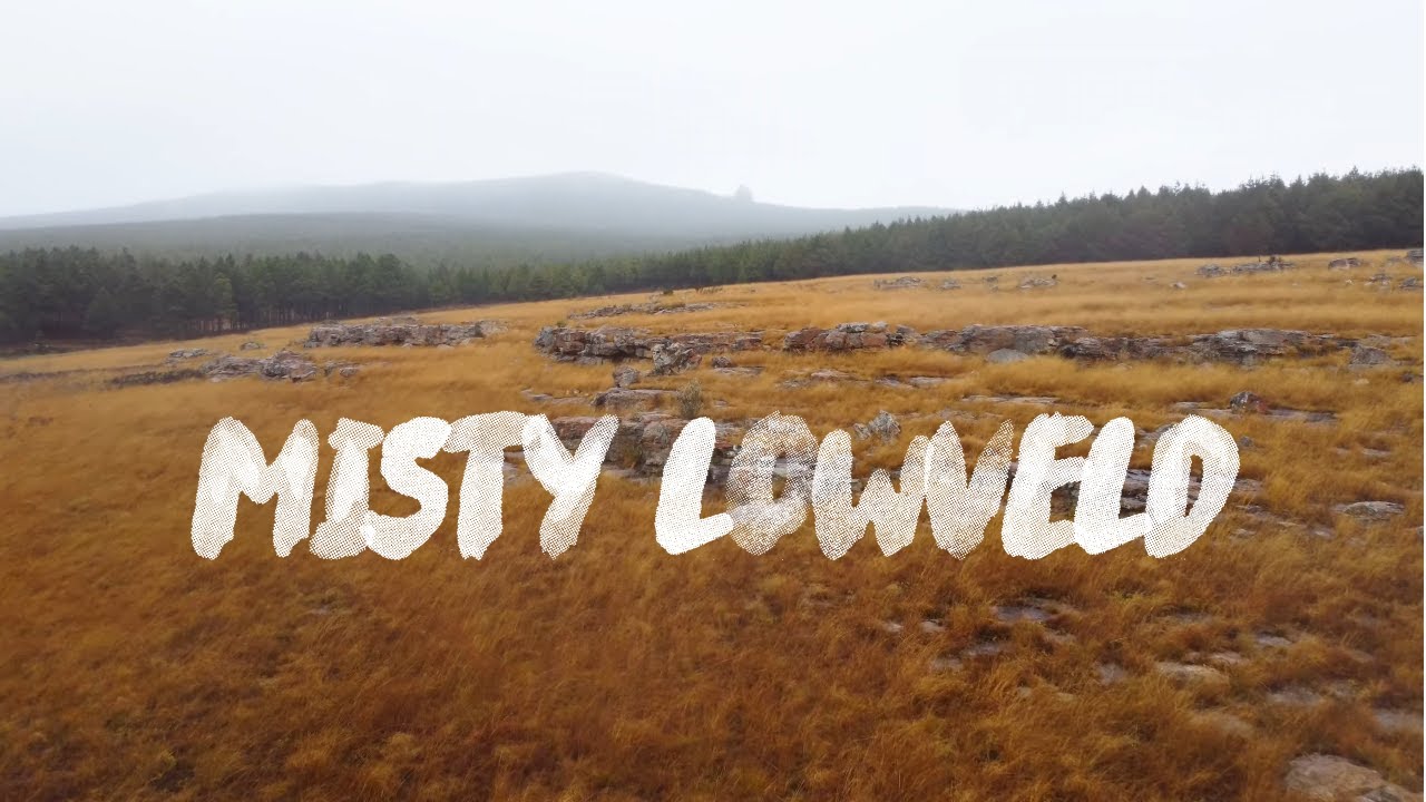 Misty Treur River & Woods | Blyde River Canyon 