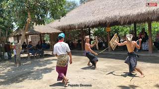 Tari Peresean Lombok. Pepadu Dewasa dan Pepadu Anak