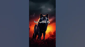 لا تسال احدا لماذا غاب عنك 