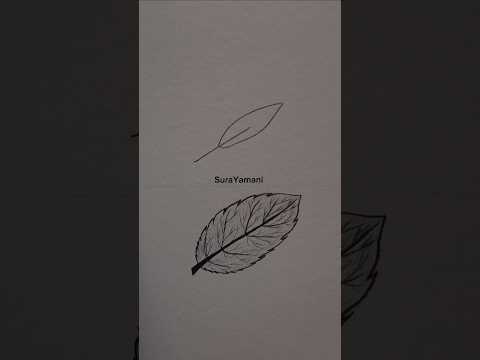 أسهل طريقة لرسم ورقة الشجر أو ورقة ورد الجوري     