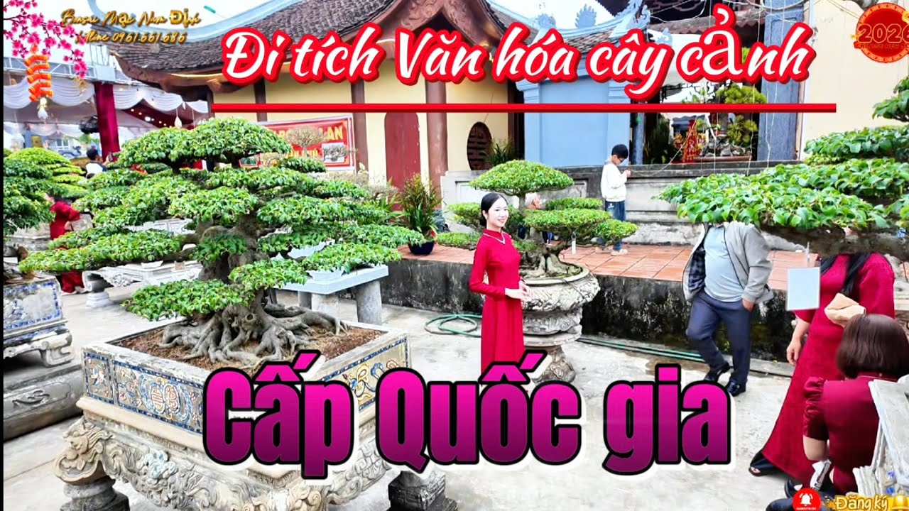 Đặc biệt di tích lịch Sử quốc gia về cây cảnh Việt Nam 