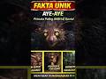 FAKTA UNIK. AYE - AYE #faktahewan #faktaunik #animals #shortvideo #shorts #ayeaye