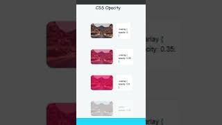 CSS Opacity: Control Transparency in UI Design