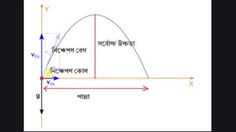 প্রাস || Projectile Motion || HSC Physics Chapter 3 || গতিবিদ্যা || Goti Bidda || Dynamics-01