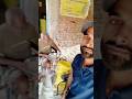 सरकारी राशन लेने पहुँचा डीलर के पास | MrDileepofficial Vlogs | daily vlogs