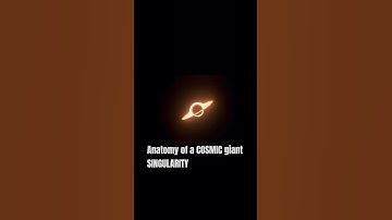 Anatomy of a COSMIC giant SINGULARITY