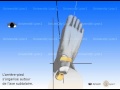 Le pied  les mouvements en dcharge