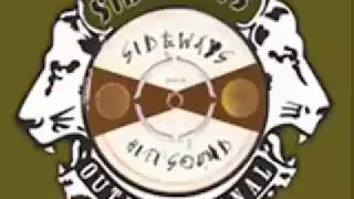 Eek A Mouse Wild like a Tiger Dubplate