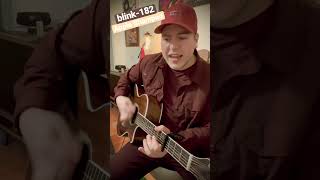 blink-182 - Apple Shampoo (Acoustic Cover) #blink182 #duderanch #poppunk #punk #appleshampoo