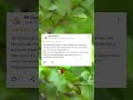 Lustige Google Bewertungen Teil1 #lustigevideos #lustig