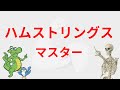 【筋肉】ハムストリングスをマスター