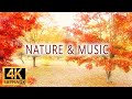 Nature &amp; Music [ 4K ]