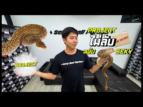SEXY BALLPYTHON | EP.12 1 ใน 10 Project ไม่ลับฉบับsexy