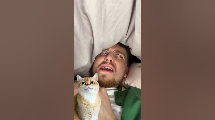 Hiding Under the Bed Covers Prank 🤣 Friend’s HILARIOUS Reaction! #reaction #funny #cat #catlover
