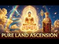 Great Pure Land Ascension • Kṣitigarbha, Azure Dragon & Amitābha — Infinite Light of Liberation 3 Ho