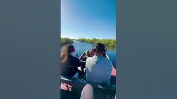 Thumbnail of Airboat Tour through the Florida Everglades 🚤 🍃