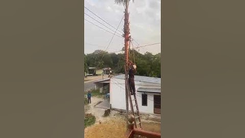 NÃO ABRA ESSE VÍDEO.           ACIDENTE DE TRABALHO  Trabalho em Altura com MOTOSSERRA