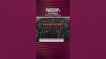 Padshop 2 Tutorial I How To Drag And Drop Audio From A DAW