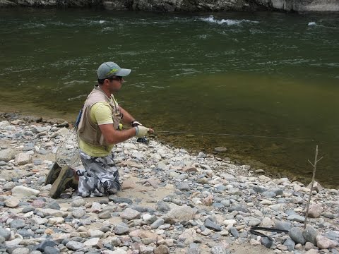 ტურნირი ძირულა 2016