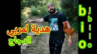 هدية لمربي الدجاج البلدي