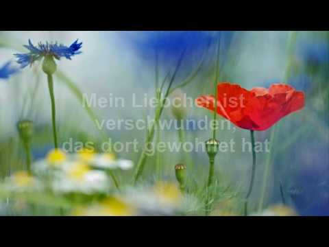 In einem kühlen