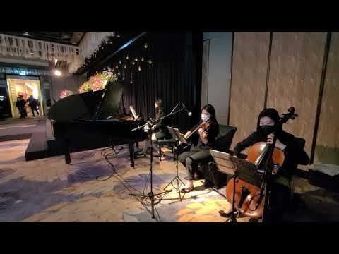 포시즌스호텔 누리볼룸 웨딩연주 Can you feel the love tonihgt 피아노3중주 결혼식연주