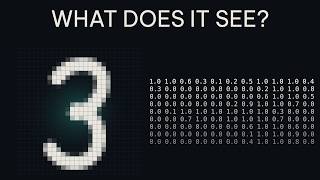 Why Neural Networks Don't Learn Rules
