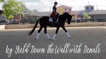 Leg Yield Down The Wall