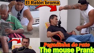 Major broma del raton/ Pegadinha do rato /The mouse prank