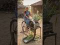 💥 चारा काटने का गजब देसी जुगाड़ 🌾|अब हाथ कटने का डर खत्म..💯 #agriculture #desijugaad #shorts