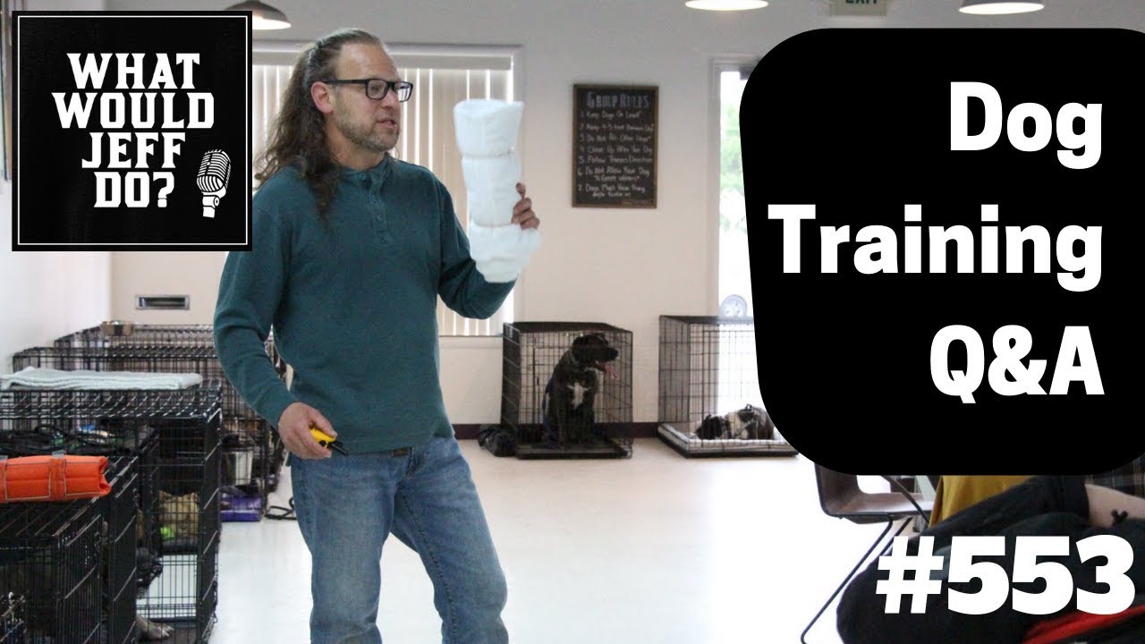 dog trainer in delhi Dog Resource Guarding | Stop a Biting Dog | What Would Jeff Do? Dog Training Q & A #553