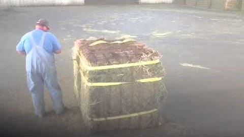 Cutting a bale of hay