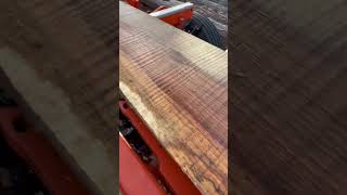 Nail vs sawmill blade…!!!