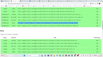 java.lang.IllegalStateException: The driver executable does not exist | Java