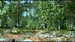 Полная версия о действиях смешанных финско шведских штурмовых частей 1942 44г