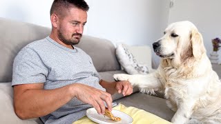 Watch How Golden Retriever Reacts to Pizza: You Won't Believe It!