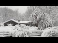 12-1-2020 Chardon - Mentor, Ohio - Stuck Vehicles - Plowing Lots - Trees Bending