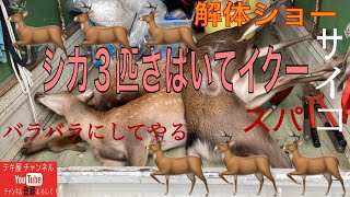シカ解体　バラし方　#シカ #ジビエ #解体 #シカ解体 #シカのバラし方