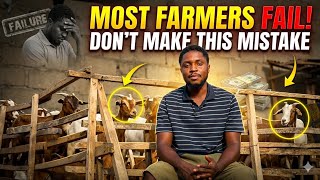 Why Most Goat Farmers Fail in Their First Year