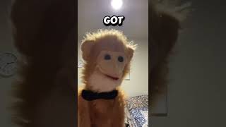 I'm old - a 😂 song